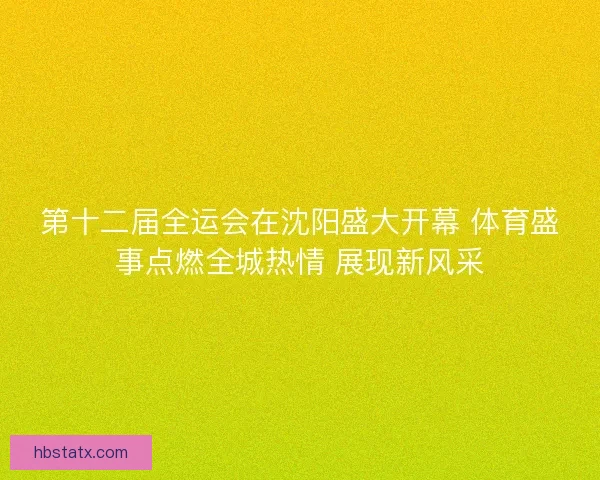 第十二届全运会在沈阳盛大开幕 体育盛事点燃全城热情 展现新风采
